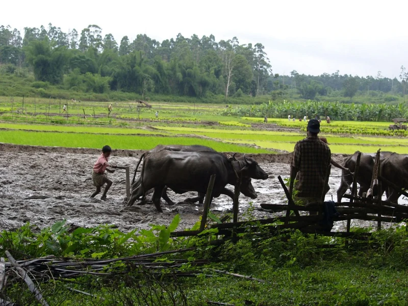 From Zurich to Wayanad, Can The Data Modelling Highway Restore Farmer Science and Soil?